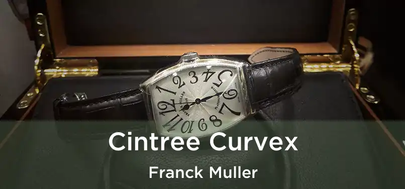  Cintree Curvex Franck Muller