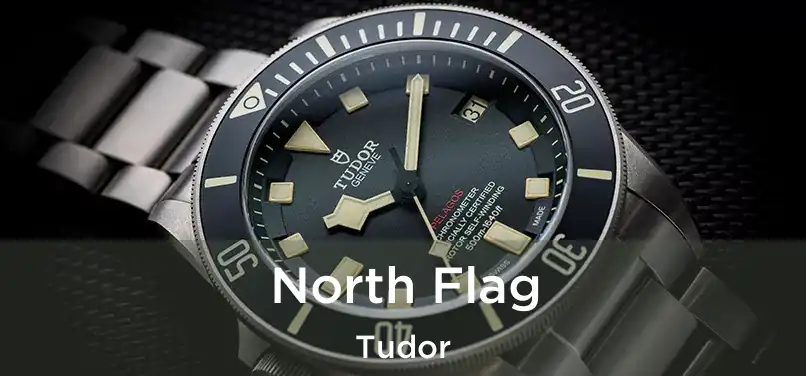  North Flag Tudor