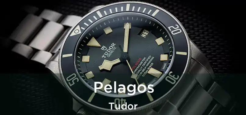  Pelagos Tudor